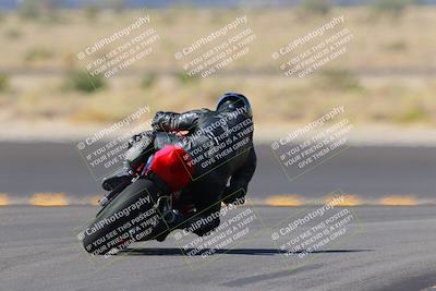 media/Oct-08-2022-SoCal Trackdays (Sat) [[1fc3beec89]]/Turn 11 Backside (1145am)/